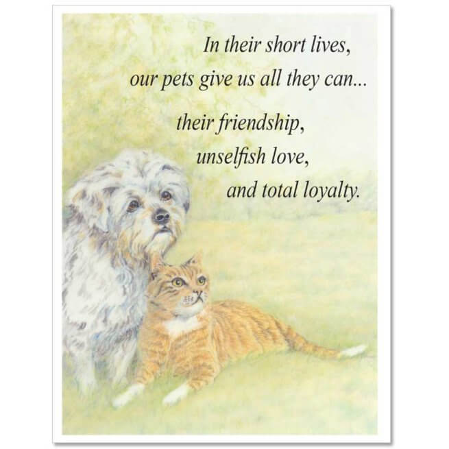 S10 Pet Sympathy Card