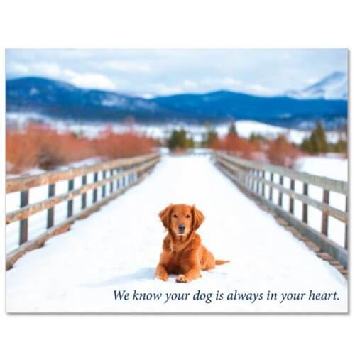 S205 Pet Sympathy Card