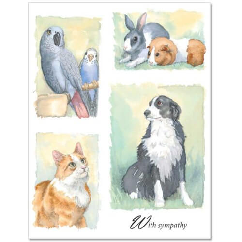 S52 Pet Sympathy Card
