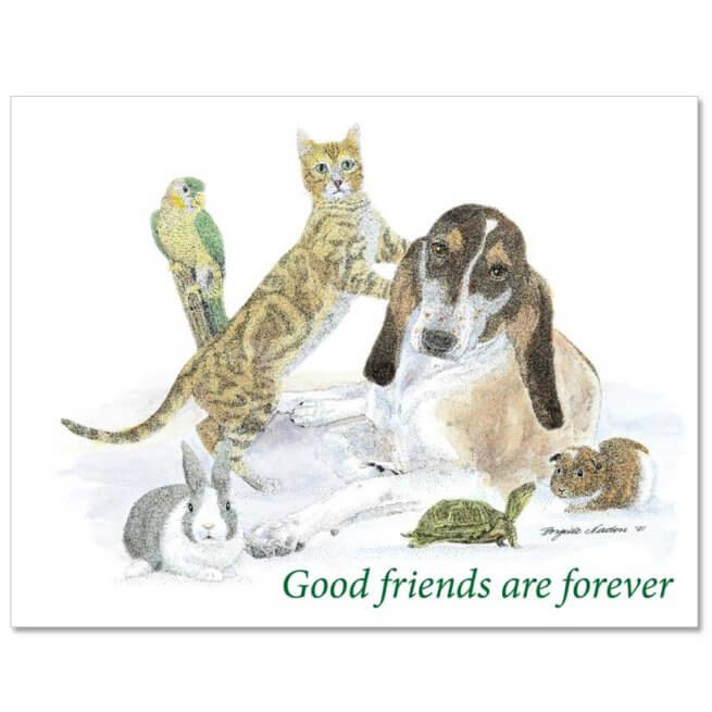 S56 Pet Sympathy Card