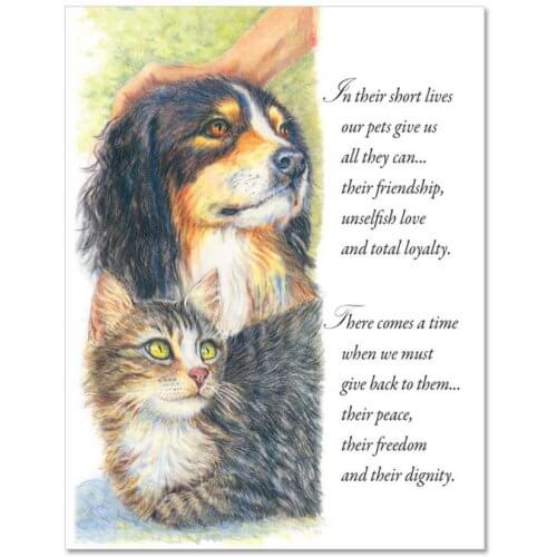 S81 Pet Sympathy Card