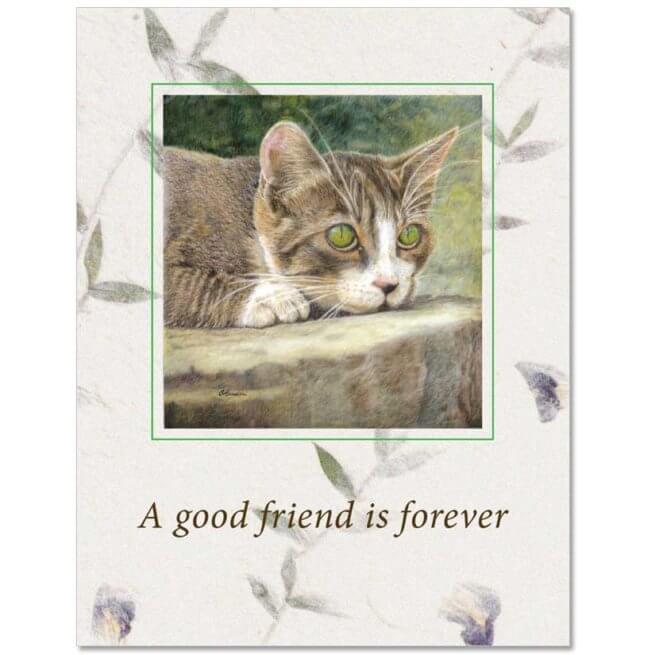 S90 Pet Sympathy Card