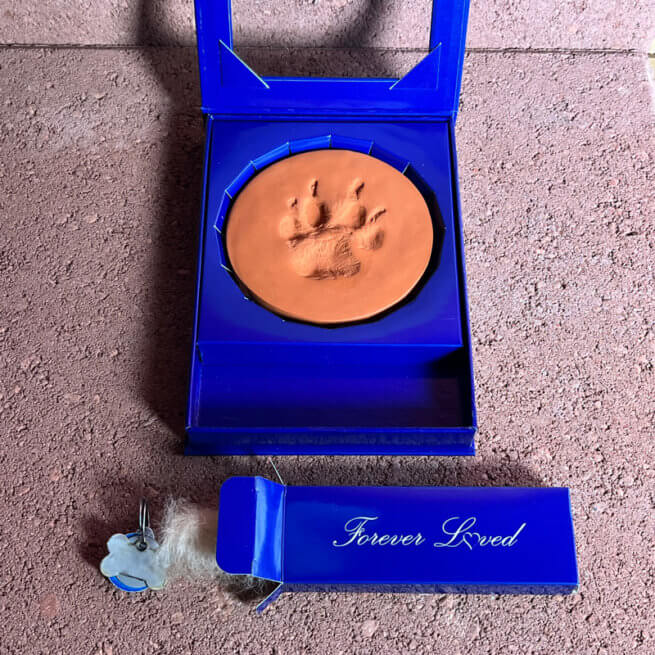 Pet Memory Box with Forever Loved Box Open