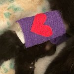 Jewel with Heart Bandage Art WEB