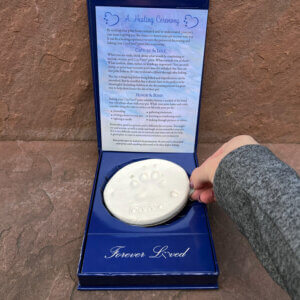 Healing Ceremony Card with Baking Disk BUNDLE